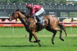Ahrens Chasing Melbourne Cup Dream With Spechenka Ahrens Chasing Melbourne Cup Dream With Spechenka