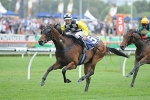 Norzita best filly in Flight Stakes