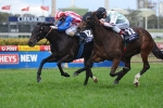 Lamasery To Defy Pedigree At Mile & A Half Trip Lamasery To Defy Pedigree At Mile & A Half Trip