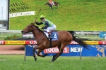 Manawanui Fresh Ahead Of Derby Distance Test