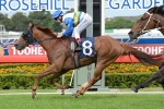 Sea Galleon Trades Summer Cup Start For Spell Sea Galleon Trades Summer Cup Start For Spell