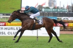 Foxwedge Could Be O’Shea’s Golden Boy In The Rose Foxwedge Could Be O’Shea’s Golden Boy In The Rose
