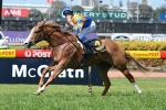 Queen Not Coming To Coast For Magic Millions
