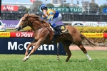 Karuta Queen Seeks To Dethrone Black Caviar