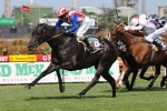 Melbourne Cup hopefuls’ last chance in Bendigo Cup Melbourne Cup hopefuls’ last chance in Bendigo Cup