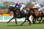 Melbourne Cup hopefuls’ last chance in Bendigo Cup