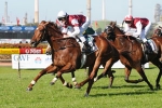 Plenty Riding On The Performance Of Peck Plenty Riding On The Performance Of Peck