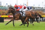 Bary Alters Jimmy Choux’s Cox Plate Campaign Bary Alters Jimmy Choux’s Cox Plate Campaign