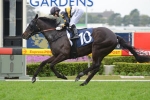 Cummings To Build Spring With Newcastle Cup Cummings To Build Spring With Newcastle Cup