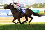 Glencadam Gold remains Caulfield Cup favourite despite horror barrier Glencadam Gold remains Caulfield Cup favourite despite horror barrier