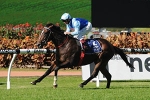 Payne has Victoria Derby plan for Honorius
