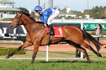 Pierro and More Joyous still on top of Cox Plate betting