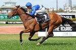 More Joyous Gets Plum Toorak Draw More Joyous Gets Plum Toorak Draw