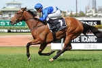 More Joyous Gets Plum Toorak Draw