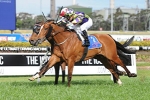 Rolling Pin Survives protest to take out Shannon Stakes