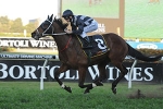 Stout Hearted one of four winners for Waller