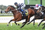 Stout Hearted receives 1kg penalty for Caulfield Cup