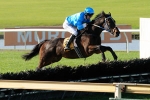 Hines Anticipates Little Effect On Jumps Racing’s Future Hines Anticipates Little Effect On Jumps Racing’s Future