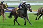Pressday’s Retirement Appears Imminent After Bleeding Attack Pressday’s Retirement Appears Imminent After Bleeding Attack