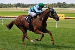 Cedarberg To Give Sydney Cup A Miss