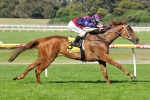 Rothera back up fine, Ballarat Cup trip a worry Rothera back up fine, Ballarat Cup trip a worry