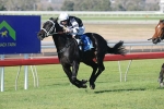 Farley Not Securing Sincero’s Stradbroke Start Farley Not Securing Sincero’s Stradbroke Start