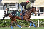 Sea Moon recovers from travel scare