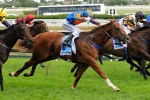 Starspangledbanner to return to the racetrack