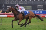 Gai’s Prince Returns With More To Follow Gai’s Prince Returns With More To Follow