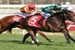 Alligator Blood in the red in Magic Millions 3yo Guineas betting