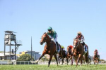 Blue Diamond Stakes 2024 Final Field & Barriers: Undefeated Colts Clash, Filly Chases History