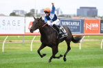 2022 Turnbull Stakes Field & Odds Update: Duais Drifts, Gold Trip Favourite