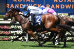Erno’s Cube Scores Gritty Reisling Stakes Win, Golden Slipper Ambitions Emerge
