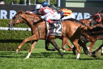 All Aged Stakes 2023 Field & Odds Update: Giga Kick Favourite