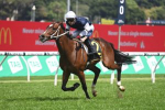 Hosier Heads 2022 Big Dance Field & Odds On Melbourne Cup Day