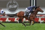 Melbourne Cup Next on the List for Moonee Valley Cup Winner Hunting Horn