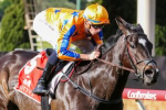 Imperatriz Leads 2023 Ladbrokes Manikato Stakes Field & Odds