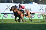 2023 The Metropolitan Results: Just Fine Narrowly Wins For Punters