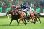 Kimochi Breaks Group Maiden Tag in Light Fingers, Eyes Surround Stakes 2024