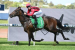 King’s Gambit Leads Oakleigh Plate Betting, Tipped to Conquer the Older Guard
