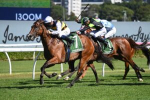 Lady Laguna Upsets Favourites in 2024 Canterbury Stakes Thriller