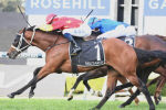 2024 Randwick Guineas Set for Stellar Edition with Militarize Favoured