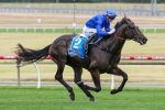 Rosehill Guineas 2023 Field & Odds Update: Pericles Favourite