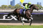 2023 Adelaide Cup Field & Betting Update