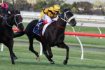 She’s Fit Tops 2023 SA Derby Field & Betting Odds