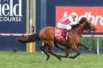 Super Seth Wins the 2019 Ladbrokes Caulfield Guineas in Thrilling Photo Finish