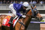 The Map Poised for Adelaide Cup 2024 Glory