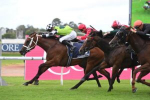 Zougotcha Leads 2024 Queen of the Turf Charge for Waller Stable