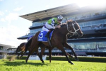 Waller’s Zougotcha Leads Contenders in Wide-Open Coolmore Classic 2024