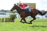 Munce’s Mares To Make Impact At Newcastle Munce’s Mares To Make Impact At Newcastle